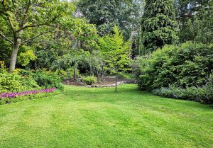 Optimiser l'expérience du jardin à Église-Neuve-de-Vergt